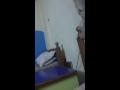 ككككك ككككك