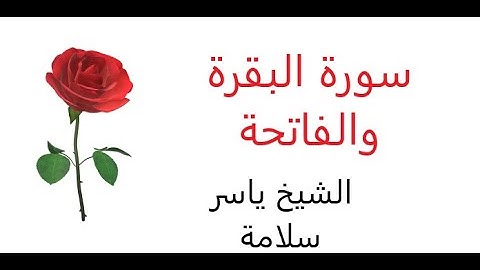ياسر سلامة سورة البقرة  والفاتحة كاملة ومكتوبة  yaser salama