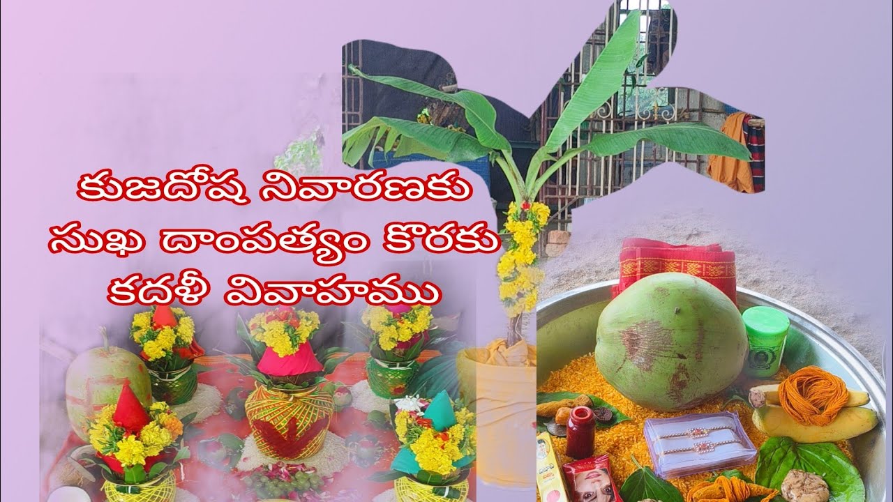 కదళి వివాహము అంటే ఏమిటి ఎలా చేయాలి అరటి చెట్టుకు వివాహము kadali vivaham కుజదోషం తొలగుటకు kujadosham