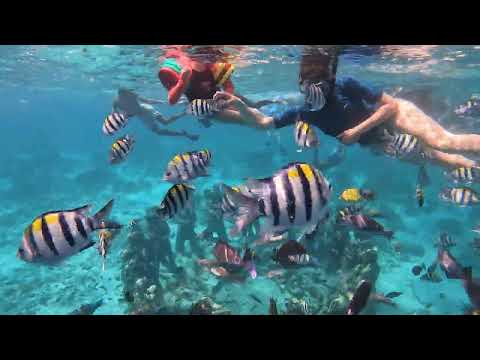 private snorkeling Gili