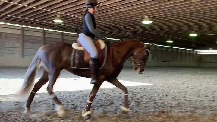 Tesoro: Stacey Hastings Clinic 3/14/19