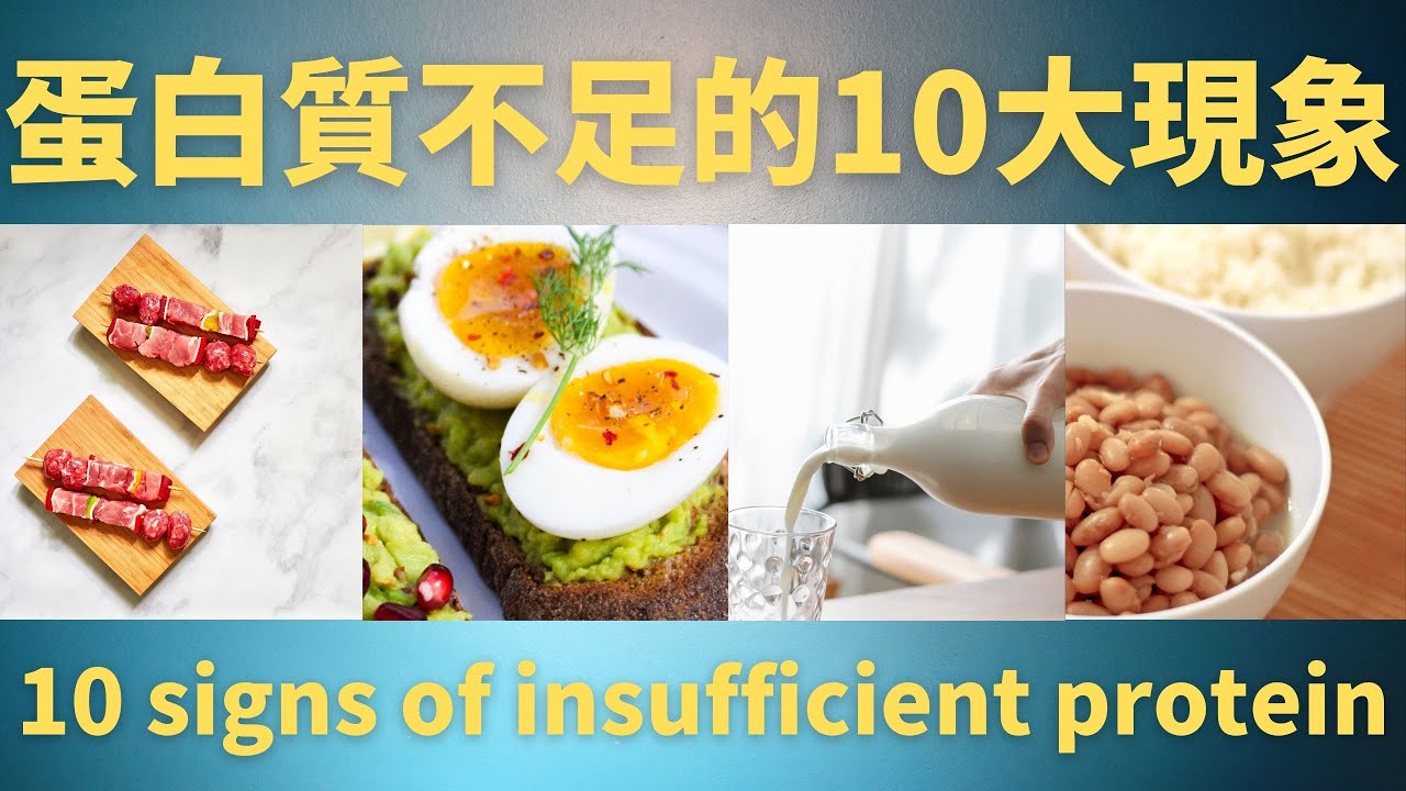 【基礎 營養】蛋白質不足的10大現象 10 signs of insufficient protein