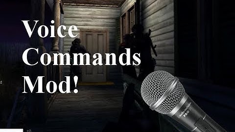 SWAT Part 4 - Voice Commands Mod