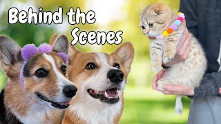 Behind the Scenes: Making Our Viral Video