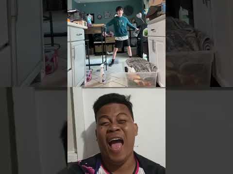 فيديو كلمات الأغنية