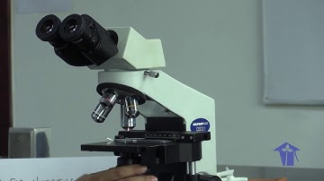 LAB 1- Microscopy
