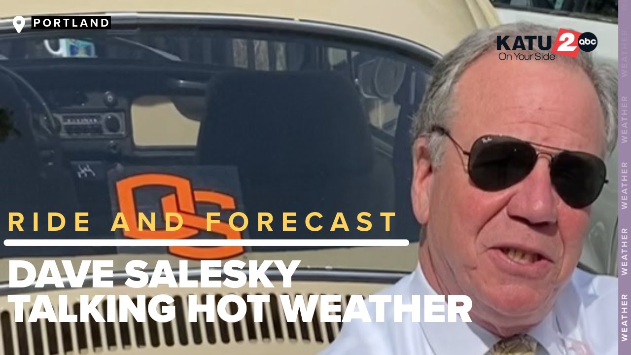 Ride and a Forecast with Storm Tracker 2 Meteorologist Dave Salesky: inside his classic VW Bug