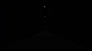 The incident 001