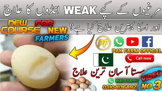 Hens Soft shell eggs treatment | Shell less eggs | Murghi k kachay andon ka ilaj | PAK FARM OFFICAL screenshot 4