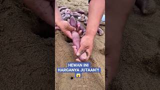 Digging a Hole on the Beach, This Man Discovers a Strange Animal Worth Millions! 😱#shortvideo #vi...