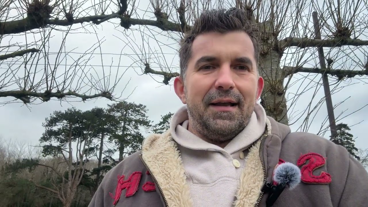 Wireless mini Mic Live Streaming/Video Recording/Interviews/YouTube/TikTok/Vlog , cheapest in Amazon