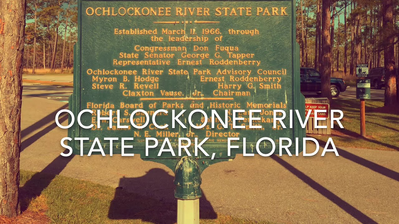 Travyl Couple at OCHLOCKONEE River state Park Florida