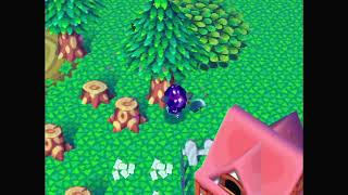 Animal Crossing Deluxe: Day 24 | No Commentary (GameCube)