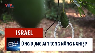 Israel ứng dụng trí tuệ nhân tạo trong nông nghiệp như thế nào?