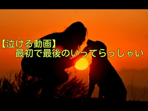 泣ける動画 最初で最後のいってらっしゃい Youtube
