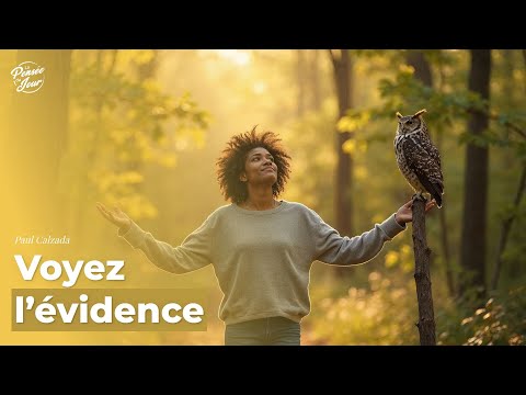 See the Evidence