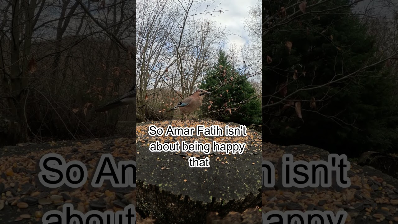 Love Your Fate (Even the Painful Parts) – The Stoic Practice That Changes Everything