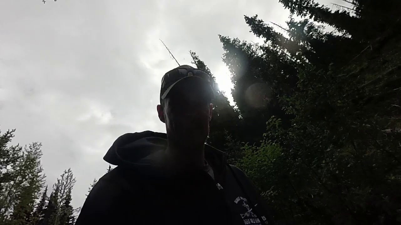 Testing Peters Creek