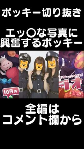 【ポキラジオ】エッ○な写真に興奮するポッキー#Shorts【ポッキー 切り抜き】