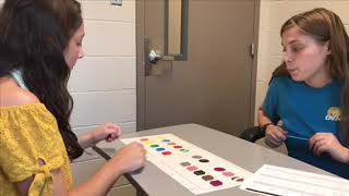 ELEC 316 Assessment Project: BRIGANCE Inventory of Early Development II