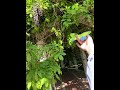정말 좋아해 00 Fyp 정말 좋아해 00 Fyp