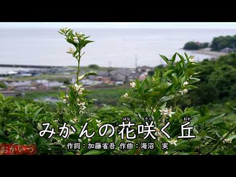 【廃盤】みかんの丘('13エストニア/ジョージア) The Hill Where Mandarin Orange Blossoms Bloom (Okaasan to Issho