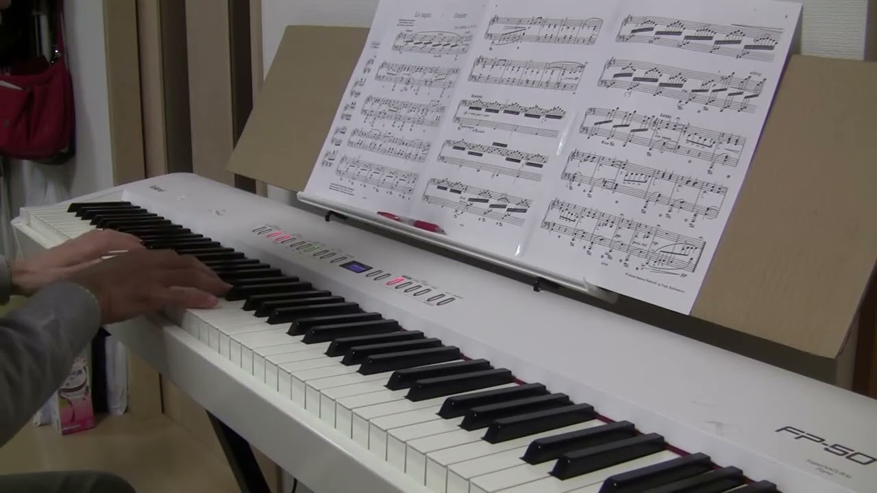 Sibelius  The Spruce  from  The Trees