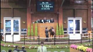 セレクトセール2010(一歳)上場馬