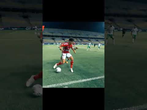 رضا سليم وامام عاشور