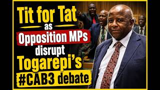 Opposition MPs disrupt Pupurai Togarepi's #CAB3 debate