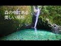 HD復刻版 +自然環境音　 溶岩台地も今は緑と水の美しい楽園　水音と鳥の声