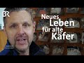 Neues Leben für alte Käfer: Zwei Männer mit einer Passion | Zwischen Spessart und Karwendel | BR