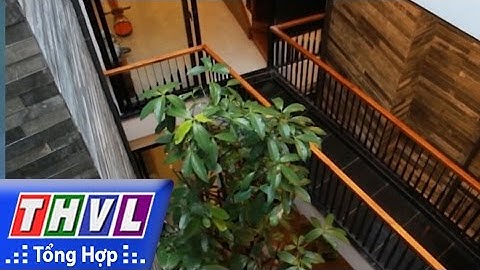 THVL l Người đưa tin 24G: Khám phá ngôi nhà xanh được tạp chí kiến trúc nổi tiếng của Mỹ vinh danh