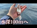 釣れたイカを日本海の水深100mに落としたら…【エボシ340 辻堂加工】