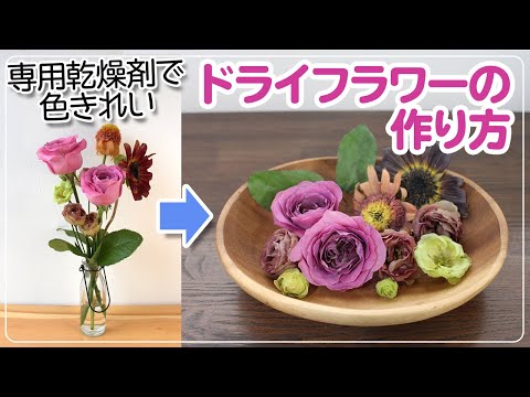 ライブ シリカゲルはやっぱり凄かった 自然乾燥のドライフラワーと比較します 吉祥寺の花屋 花心 Youtube