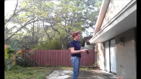 Leo Intro to E- Collar part 1- Take the Lead K9 Training