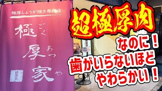 箸で切れる極厚肉の定食屋がとんでもなく旨かった！【極厚家/東京・高田馬場】