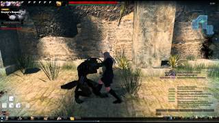 Vindictus hold 2