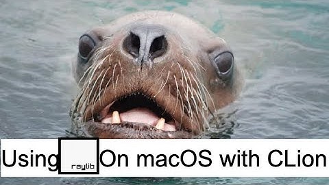 How to use raylib on macOS using CLion