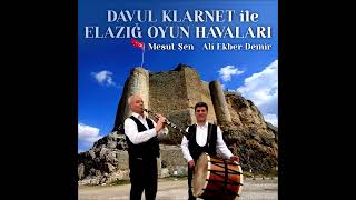 Büyük Cevizin Dibi -Enstrumantal -Davul Klarnet İle Elazığ Oyun Havaları (Official Lyric Video) Resimi