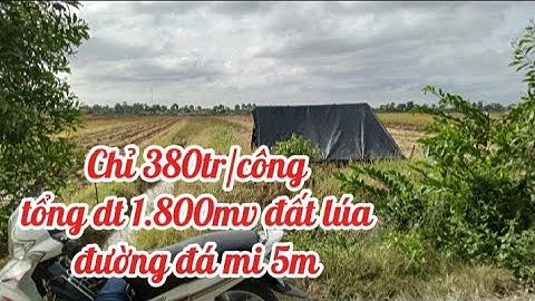⛔ Bán 1.800mv đất lúa đường đá mi 5m giá chỉ 380tr/công đất hướng Bắc wiew kênh 
