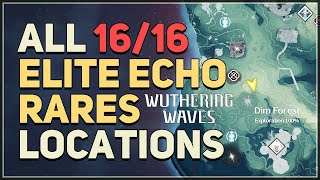 All Rare Elite Echo Locations Wuthering Waves