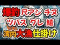 爆釣、尺アジ　チヌ　ツバス　グレ　キス　この仕掛けと釣り方、湾内で色々釣れる（仕掛け解説あり）