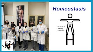 Homeostasis