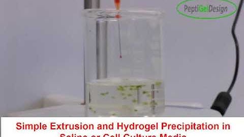 PeptiGelDesign Technologies Cell Encapsulation Beads Formation