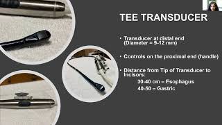 ASE 2021 Normal Transesophageal Echo TEE