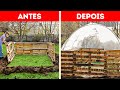 Estufa DIY: Habilidades excepcionais de jardinagem para todos os lares