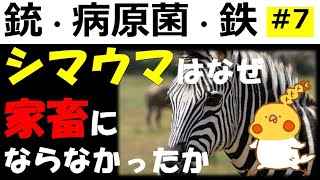 『銃・病原菌・鉄』#7 なぜシマウマは家畜にならなかったのか【じっくり解説】