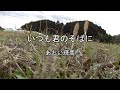 2026-3-25 いつも君のそばに/あおい輝彦