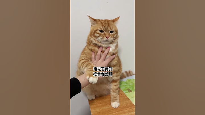 #猫咪日常 #养猫人 #萌宠出道计划 #养猫 #养宠